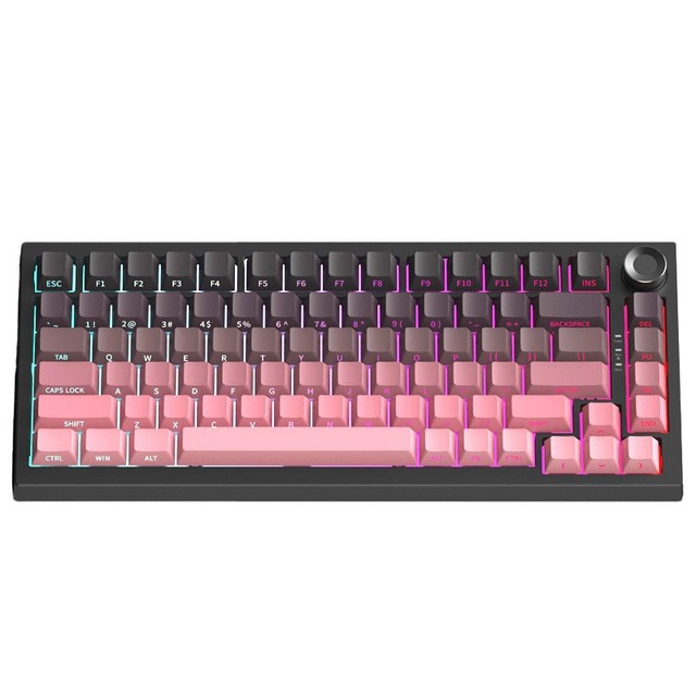 Compact Ergonomic Gasket Mount Wired 2.4Ghz Wireless Hot Swap RGB PBT Keycap Gaming Mechanical Keyboard with Konb Russian Layout