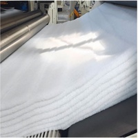 Tissu géotextile tissé haute résistance pour la construction routière, la stabilisation des sols et les projets d'ingénierie civile
