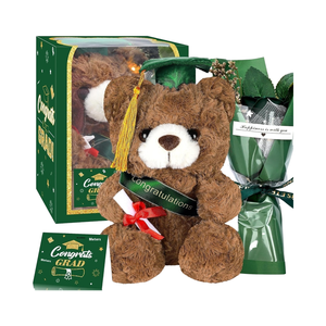 Set de Regalos de Graduación 2025: Oso de Peluche, Flor Artificial, Tarjeta de Felicitación, Decoraciones Verdes para Fiesta de Graduación - Product Image 1