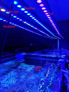 54W/81W/108W IP65 Blauw UV Groen WIFI APP Besturing Dimbare Lichtbalk Zee Mariene Aquarium Verlichting Rif - Product Image 5