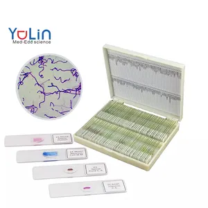 Factory direct high-quality teaching microscope biological film 50 kinds of fungi and bacteria microbial cell preparation