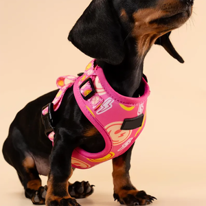 調節可能な犬用ハーネスネオンポップ色のハーネスクイックドライネオプレン快適で通気性のあるすべての日のためのすべての冒険 - Product Image 6