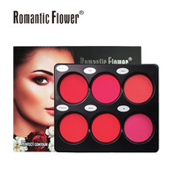Palette de Fards à Joues Crème Vegan Luxe 6 Couleurs Maquillage Dégradé Visage Fard à Joues Crème Bronzer Palette Fards à Paupières