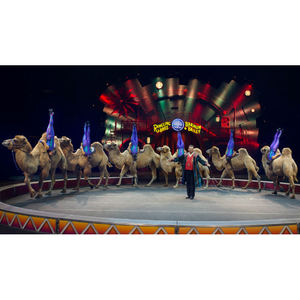 Estructura de Truss para Carpa de Circo, Carpa de Carnaval, Trapecio, Marquesina, Parque de Atracciones Familiar, Estructura de Circo - Product Image 1