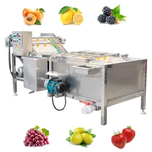 High capacity bubble washing machine Runxiang vegetable washer fruit washing machine air bubble washing machine