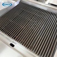 Gril Commercial Professionnel Gaz et Électrique pour Restaurants et Hôtels - Plancha, Barbecue, Charbroiler