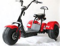 Tricycle électrique à trois roues certifié EEC, cadre en aluminium, pneus larges, 2000W, Citycoco, batterie lithium 60V, scooter électrique