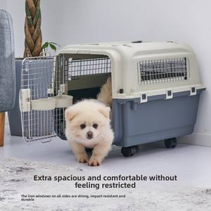 Cage de <span class=keywords><strong>transport</strong></span> pour animaux de compagnie en plastique rigide rectangulaire modèle 450 avec fenêtre en fer pour bagages à main pour chat/<span class=keywords><strong>chien</strong></span> - Product Image 2