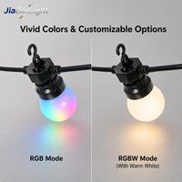 Guirlandes lumineuses intelligentes de Noël en direct d'usine, DC12V UCS1903 GS8206, boules de 50 mm, RGB, multicolores