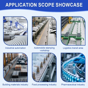 Yerçekimi Destekli Endüstriyel Paketleme Deposu Taşıma Hattı Paslanmaz Çelik Rulolu Konveyör - Product Image 6