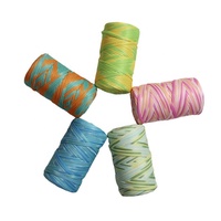 100% Polyester DIY Crochet Material Hand-Knitted Segment Dyed T-shirt Yarn Fancy Yarn for T-Shirt Creation