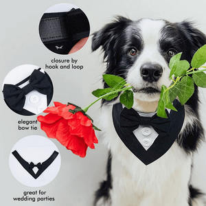 Corbata de Moño para Perro, Esmoquin Formal para Boda, Cumpleaños, Bandana para Perros Pequeños, Medianos y Grandes - Product Image 2