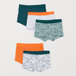 Vente en gros de sous-vêtements pour garçons et enfants, lot de 5 slips à taille élastique en jersey de coton, sous-vêtements - Product Image 3