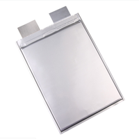 Cellule de poche au lithium 3.2V 10Ah 20Ah 30Ah 40Ah 50Ah Cellule de batterie 3.2v LFP NCM Lifepo4