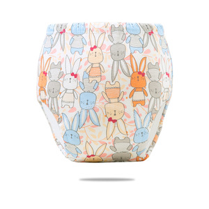 Couches de poche lavables et réutilisables pour bébé, pantalons d'entraînement pour tout-petits, sous-vêtements d'entraînement pour bébé - Product Image 6