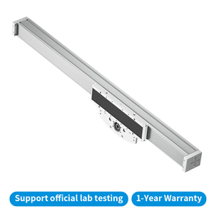  Cylindre électrique léger à axe cantilever ELCC, haute rigidité, longue course, actionneur linéaire pour l'automatisation de la palettisation - Product Image 4