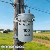 Transformateur de distribution monophasé 13,8 kV 15 kVA à bain d'huile pour télécommunications, monté sur poteau