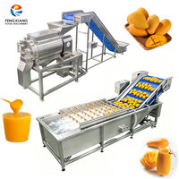 FENGXIANG Mango Bellenwasmachine en -pulpmachine set 1-5 TPH SUS304 voor grote sapfabrieken, maatwerk ontwerp mogelijk