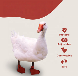 USMILEPET Duck <strong>Shoes</strong> for Injured Feet Protective Neoprene Footwear for Ducks Protective <strong>Shoes</strong> for Birds <strong>Pet</strong> <strong>Shoes</strong> - Product Image 4