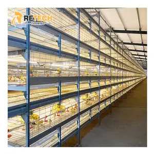 Automatic Broiler Poultry Farm Equipment Battery Broiler Chicken Cage