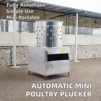 Machine à plumer les volailles entièrement automatique, mini, motorisée, à double tension, pour le traitement de la volaille