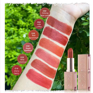 Rouge à lèvres mat pigmenté de haute qualité <span class=keywords><strong>Polina</strong></span> Luxury Chemical Makeup, imperméable, 6 couleurs, pour femmes, marque privée, certifié MSDS - Product Image 2