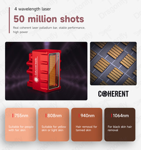 DF-Laser 2025, nouvelle machine de salon pour l'épilation, 600-2000W, laser diode à 5 ondes, épilation, 755 1064nm, titane glacé, 1600W, 1000W - Product Image 3