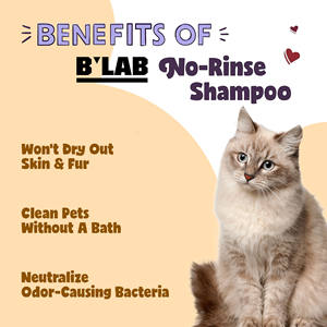 新着ペットシャンプー オーガニック ウォーターレス ドライ ドッグシャンプー 水洗い不要 pHバランス調整 臭い除去 ドッグドライシャンプー 消臭スプレー - Product Image 4