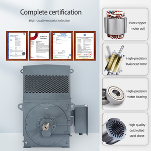 Motor Asíncrono Trifásico de Alta Tensión de 6KV, 200KW~1800KW, 6000V, 2 Polos, 3000 RPM, IP55, Motores de CA Asíncronos Trifásicos - Product Image 2