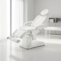 Table de massage électrique réglable professionnelle pour salon de beauté, lit de tatouage et de maquillage permanent, lit d'esthétique médicale multifonctionnel