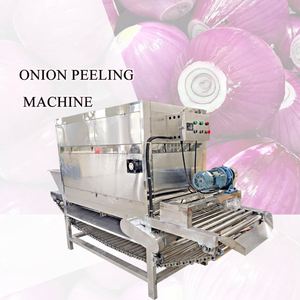 Haute efficacité 500 Kg/h chaîne oignon épluchage Machine ail élimination de la peau pour fruits et légumes - Product Image 5