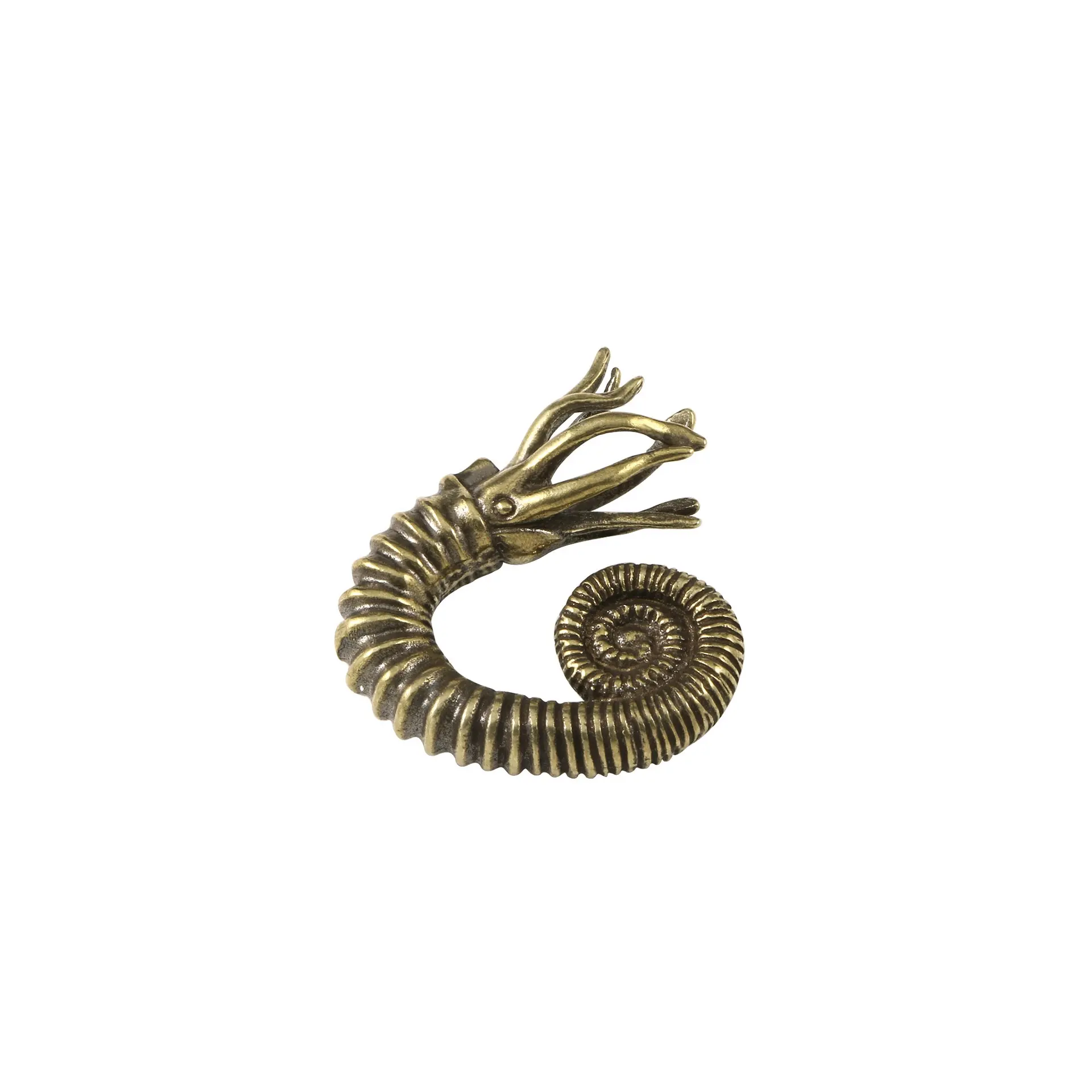 Hornstone européen Nautilus ornements en laiton ammonite marine serpent pierre métal artisanat
