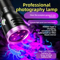 Lampe torche UV rechargeable haute puissance en alliage d'aluminium, indice IP20, lumière violette 365/395 nm, détection de scorpions, fluorescence et teignes.