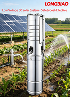 Pompe solaire submersible à courant continu basse tension 48V sans onduleur 4YYD avec turbine en acier inoxydable pour l'approvisionnement en eau des fermes rurales