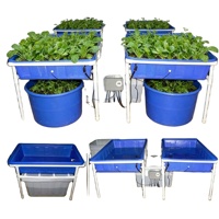 Bacs de rangement rectangulaires en plastique 400L durables, écologiques, recyclables et anti-collision pour aquariums – Fournisseur d'usine