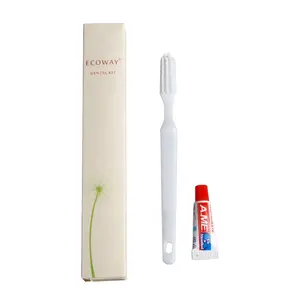 Kit de brosse à dents bon marché en gros Brosse à dents jetable et dentifrice pour hôtel