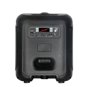Altavoz de Torre NDR-2210 de 10 Pulgadas con Subwoofer y Bluetooth para Reproducción de Música en Exteriores, Escritorio y Automóvil, Equipo de Karaoke - Product Image 5
