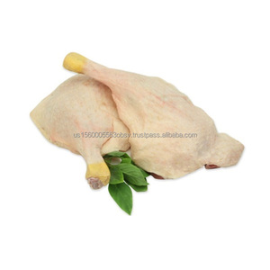 Pata de Pato Congelado en Venta Comprar Patas de Pato Online - Product Image 3