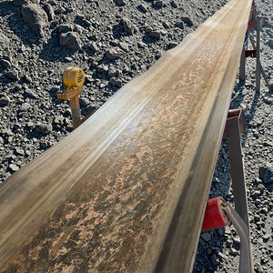 Gıda Endüstrisi için Elektrikli Otomatik Temizlemeli Su Geçirmez Paslanmaz Çelik Bantlı Eğimli Konveyör Yeni Anti-Bakteriyel Atıştırmalıklar - Product Image 4