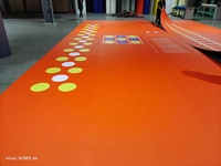 Tapis de sol en vinyle lisse XPE pour BJJ et MMA, épaisseur 2cm-5cm, personnalisable avec couleur sur mesure pour exercices en extérieur