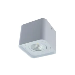 欧洲简约风格表面安装聚光灯暖灯LED方形天花板安装筒灯