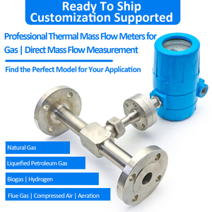 Tham khảo ý kiến bây giờ II đường ống dẫn nhiệt Khối lượng khí đo lưu lượng khí nén khí tự nhiên Hydro oxy lưu lượng mét - Product Image 3