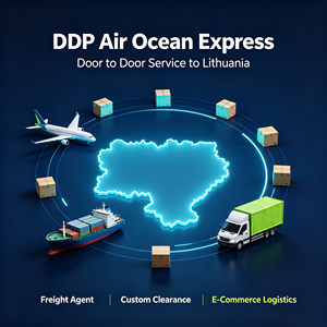 Agente <span class=keywords><strong>de</strong></span> Carga <span class=keywords><strong>de</strong></span> Alibaba AliExpress Amazon, Servicio Puerta a Puerta DDP por Aire y Mar a <span class=keywords><strong>Lituania</strong></span> - Product Image 2