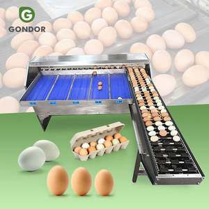 Máquina Clasificadora Automática Fabricada en China para Empacar, Clasificar y Pesar Huevos de Codorniz - Product Image 1