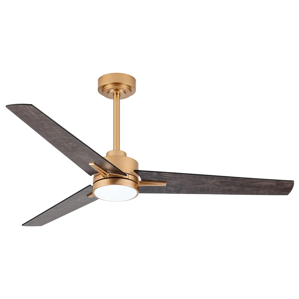 Minimalist Style Modern Study Room Double Side Plywood Blades Quiet Remote Ceiling Fan With 3 Colors LED Light