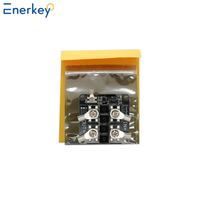 Module de charge de batterie Enerkey 100V 150V 200V 100A avec contrôleur idéal pour panneaux solaires à courant élevé et protection contre le lavage à contre-courant