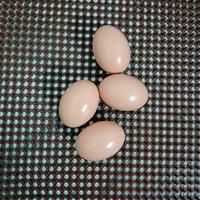 Coussinets de nidification en TPE 49x55CM, coussinets de nidification en plastique pour poulets, coussinets de nidification pour œufs, coussinets de nidification lavables pour poulailler
