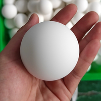 Ballon de massage double en silicone personnalisé avec logo pour la thérapie des mains et des pieds, avec prise de type chinois