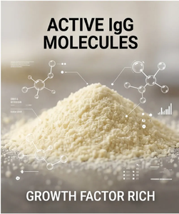 Calostro Bovino en Polvo, Alto en IgG, Liofilizado, Salud Intestinal Inmunológica, Suplemento OEM - Product Image 5