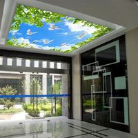 Plafond tendu PVC SKY TREE ignifuge imprimé UV, nouveau design pop, pour enseignes lumineuses publicitaires - Vente en gros usine